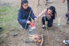pfsc-096